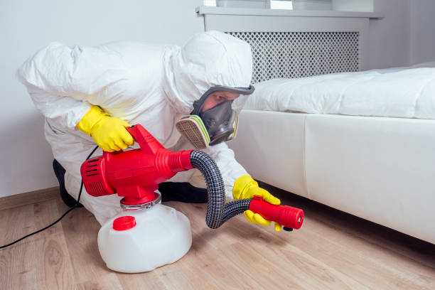 Flea Control Services in Diboll, TX